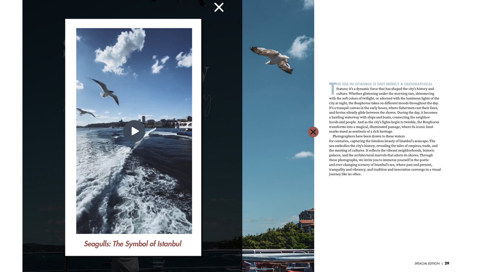 Tutku Çalış, Photographer's Eye, Özyeğin Üniversitesi İletişim ve Tasarımı Bölümü