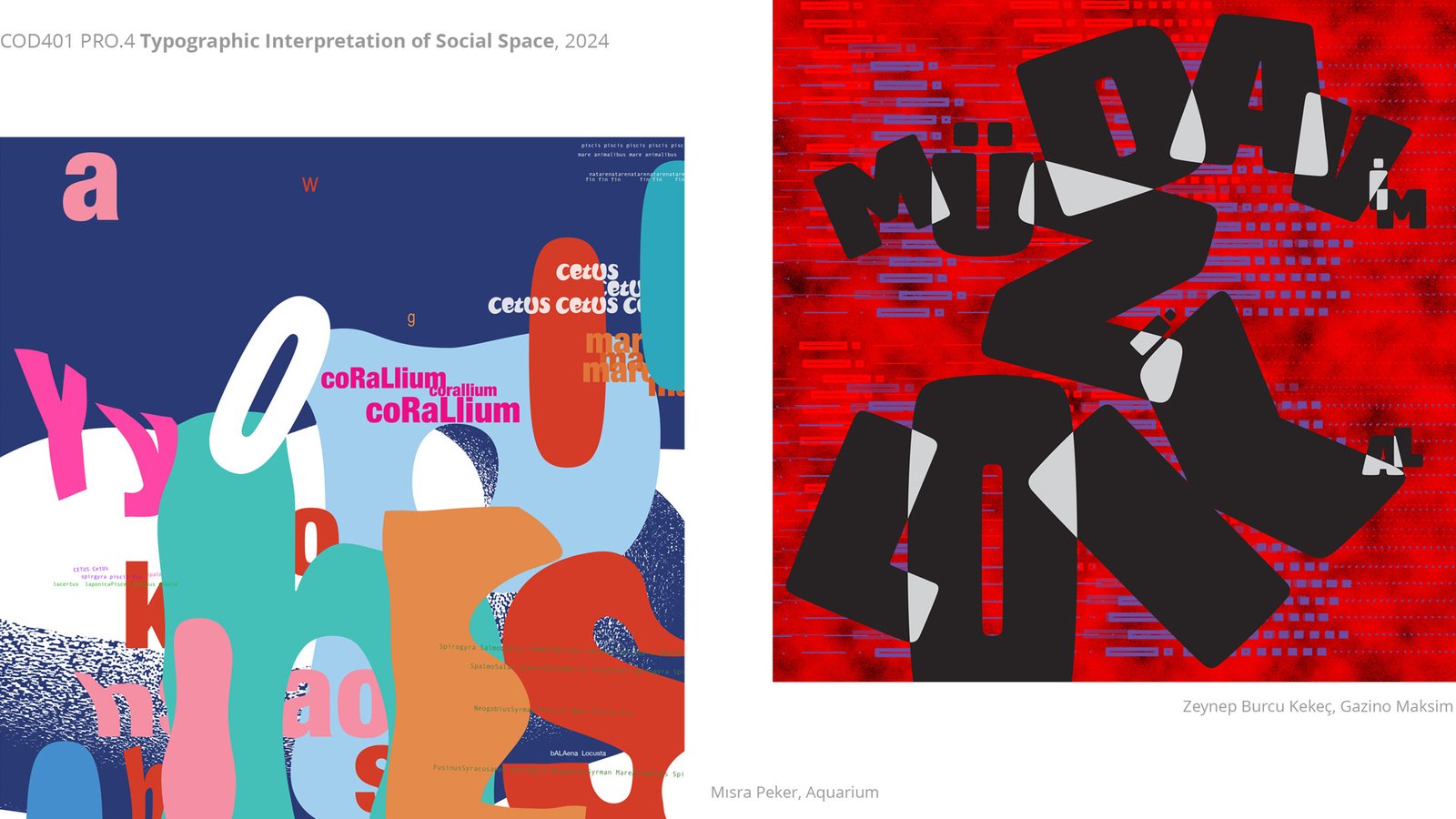 Mısra Peker, Zeynep Burcu Kekeç