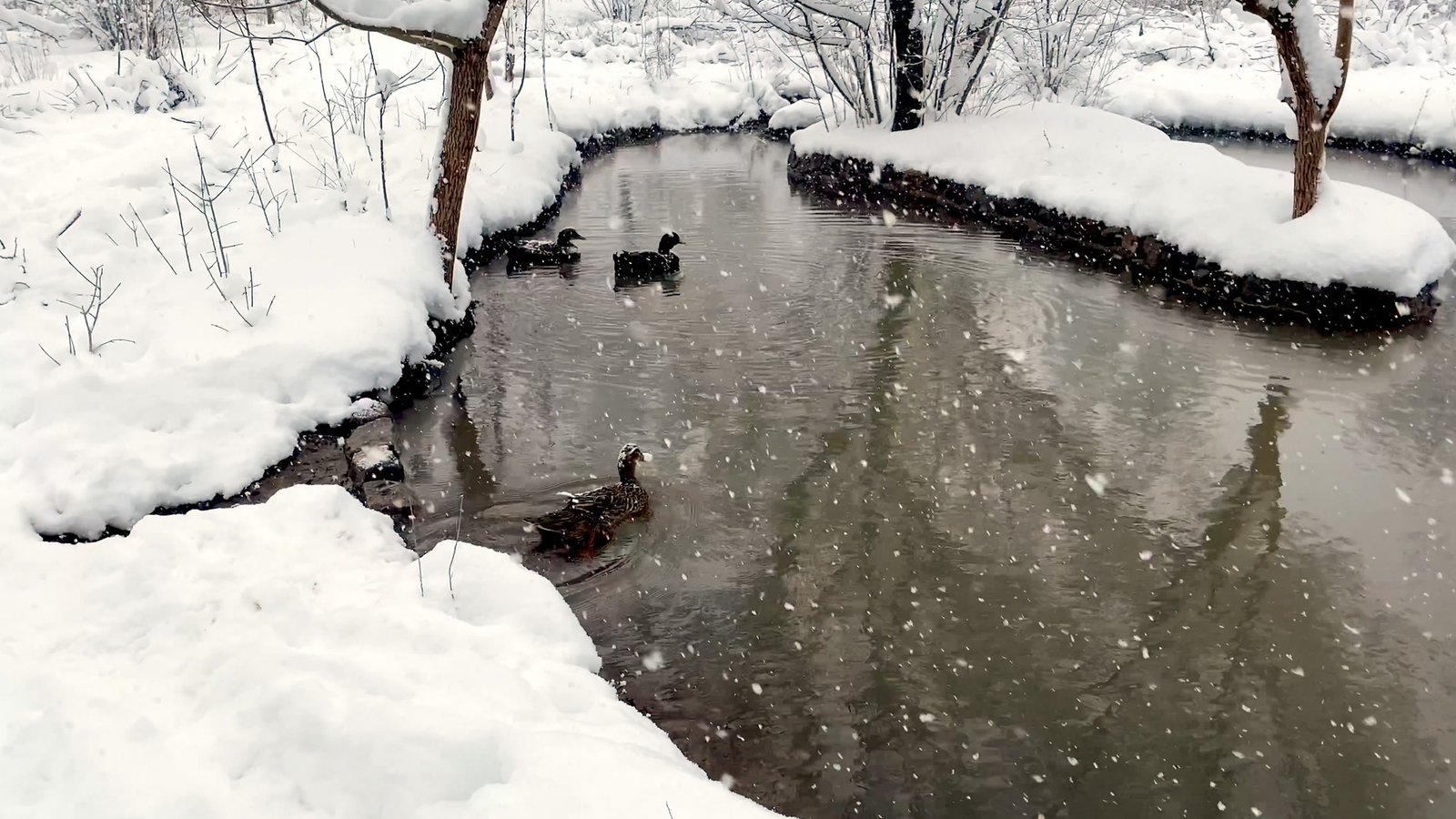 Rebuilding Palanga, Metin Çavuş