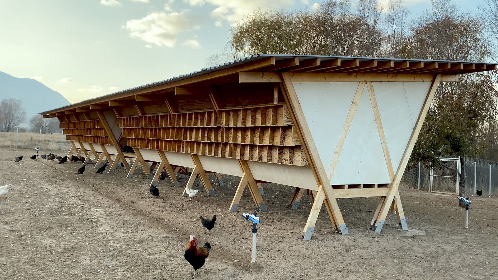 Rebuilding Palanga, Metin Çavuş